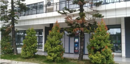 石家莊學機器人技術應用該去哪？