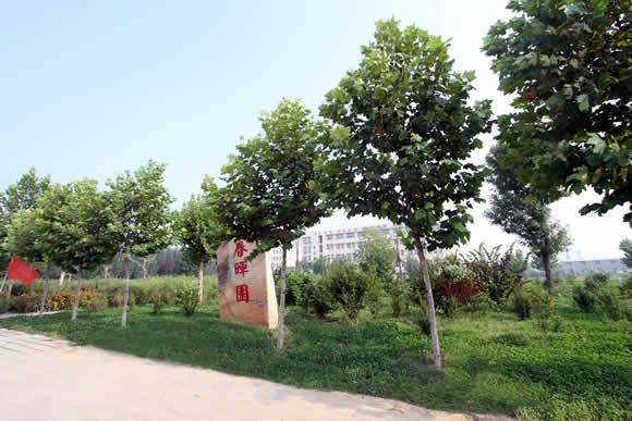 衡水科技工程學(xué)校怎么樣？是國(guó)辦院校嗎？就業(yè)有保障嗎？