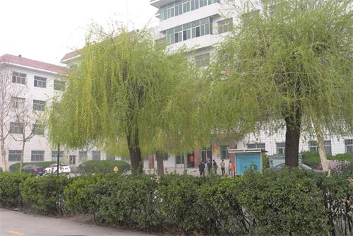 學(xué)習(xí)高鐵乘務(wù)專業(yè)怎么樣？   