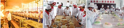 廚師需要學(xué)習(xí)烹飪多少道菜？