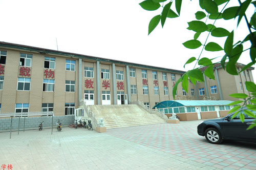 滄州國(guó)興職業(yè)技術(shù)學(xué)校開(kāi)設(shè)了哪些專業(yè)？