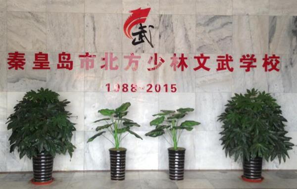 秦皇島北方少林文武學(xué)校就業(yè)如何？這答案你放心！