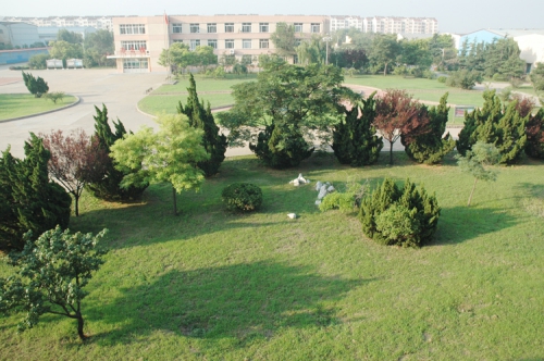 山東龍口礦業(yè)集團高級技工學(xué)校老師們教學(xué)怎么樣？升學(xué)率高嗎？