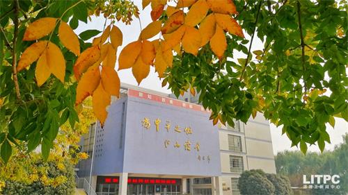 洛陽(yáng)學(xué)電子商務(wù)去哪里？學(xué)電子商務(wù)去洛陽(yáng)哪所學(xué)校？