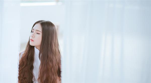 石家莊東方學(xué)院都開(kāi)設(shè)了哪些專業(yè)？
