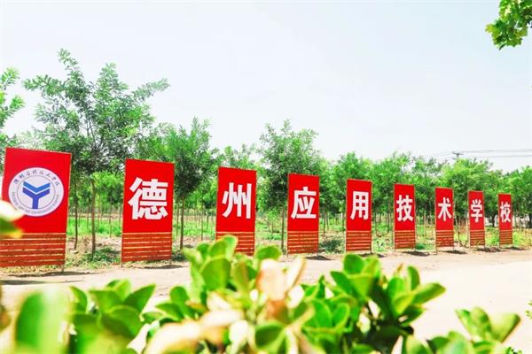 機電一體化和數(shù)控一樣嗎？