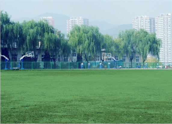 青島滿天星職業(yè)培訓(xùn)學(xué)校怎么樣？