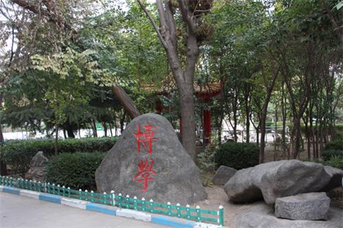  山東人民專修學院怎樣安排學生就業(yè)？