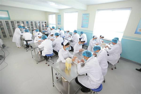 河北護(hù)理學(xué)校有哪些優(yōu)惠政策？畢業(yè)生待遇如何？