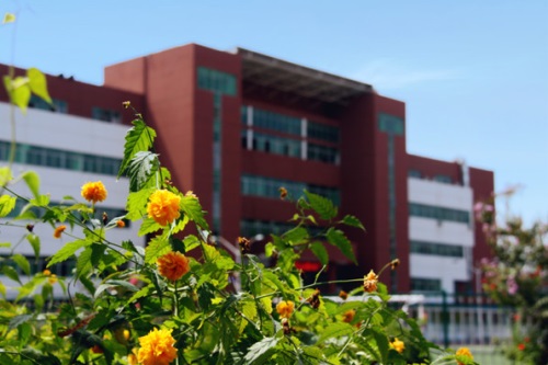 會計專業(yè)都學什么專業(yè)課程？
