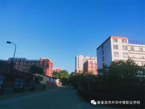 學(xué)習(xí)電子商務(wù)專業(yè)畢業(yè)后有哪些就業(yè)方向？