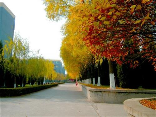 北京現(xiàn)代體育學院、航空乘務學院設施好嗎？