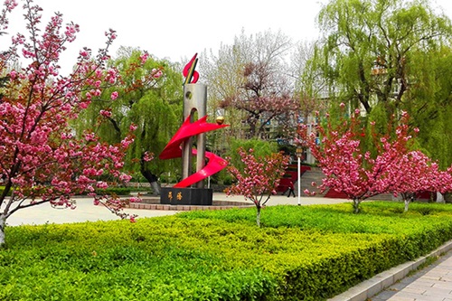 選擇齊魯技術(shù)學(xué)院學(xué)幼師怎么樣？