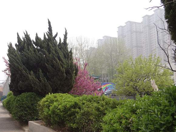 煙臺(tái)天虹學(xué)院怎么樣？