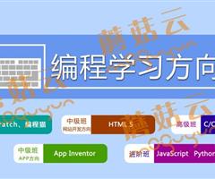 孩子為什么要盡早學(xué)習(xí)少兒編程。濟(jì)寧蘑菇云少兒編程