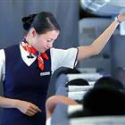 航空服務(wù)（票務(wù)、安檢方向）、航空乘務(wù)定向委培