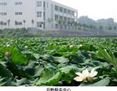 鄭州澍青醫(yī)學(xué)高等?？茖W(xué)校